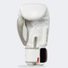 HMIT Boxing Gloves Photo 2