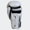 HMIT TrainAIR Boxing Gloves Photo 12